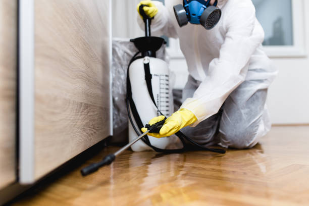 Best Termite Control Services  in Ventnor City, NJ