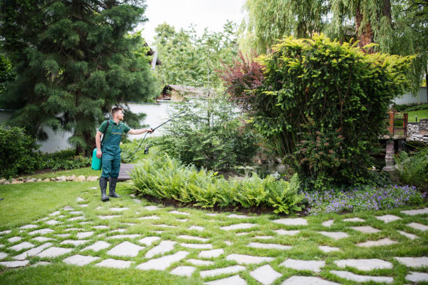Best Best Pest Control Companies  in Ventnor City, NJ