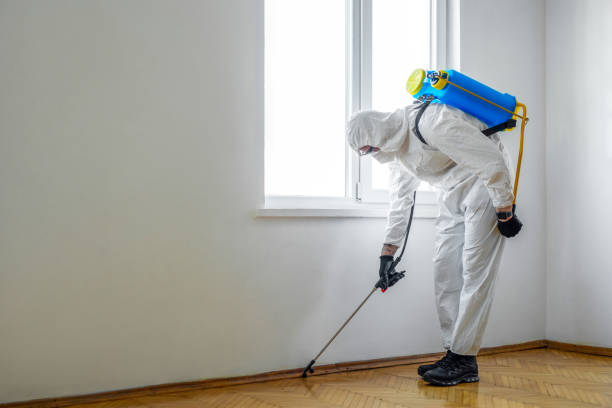 Reliable Ventnor City, NJ Pest Control Solutions