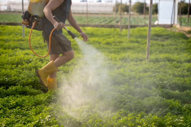 Best Affordable Pest Control Services  in Ventnor City, NJ