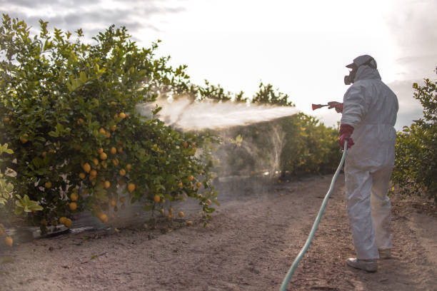Best Residential Pest Control  in Ventnor City, NJ