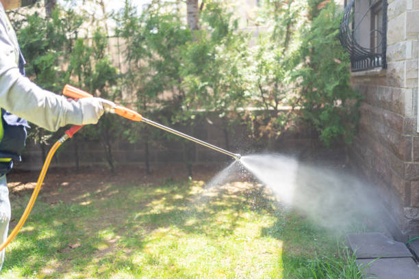 Best Pest Control for Restaurants  in Ventnor City, NJ
