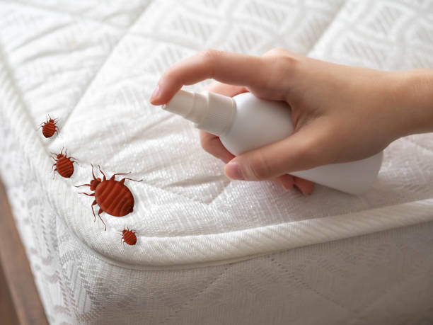 Pest Prevention Services in Ventnor City, NJ