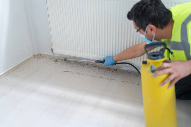 Best Insect Control  in Ventnor City, NJ