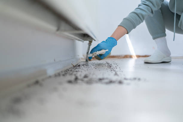 Best Mosquito Control Services  in Ventnor City, NJ